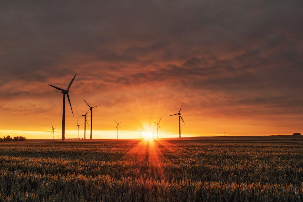 A net-zero target modelled against the real capital cycle